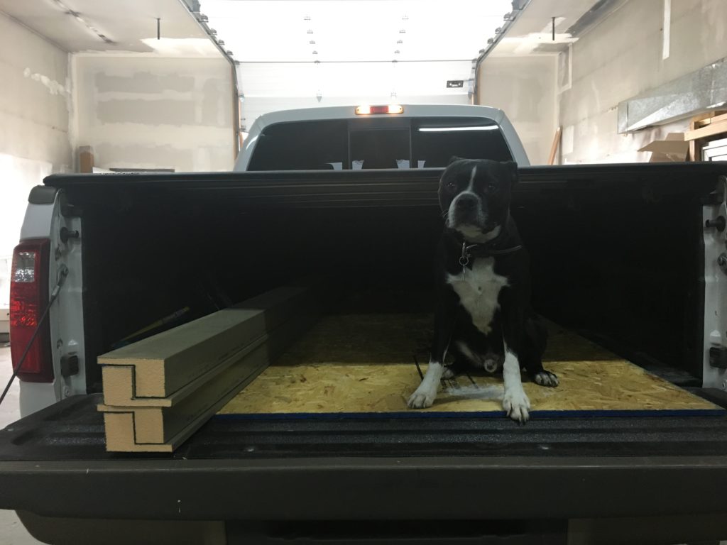 Boston terrier sitting in the bed of a truck with window bucking